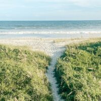 Scenic view of a sandy path leading to Ocean Isle Beach, NC, with lush beach grasses.